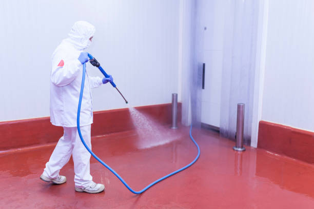 Dayton, WA Pressure Washing Pros
